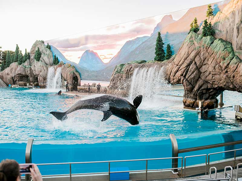 San Diego 3 Day Itinerary - SeaWorld