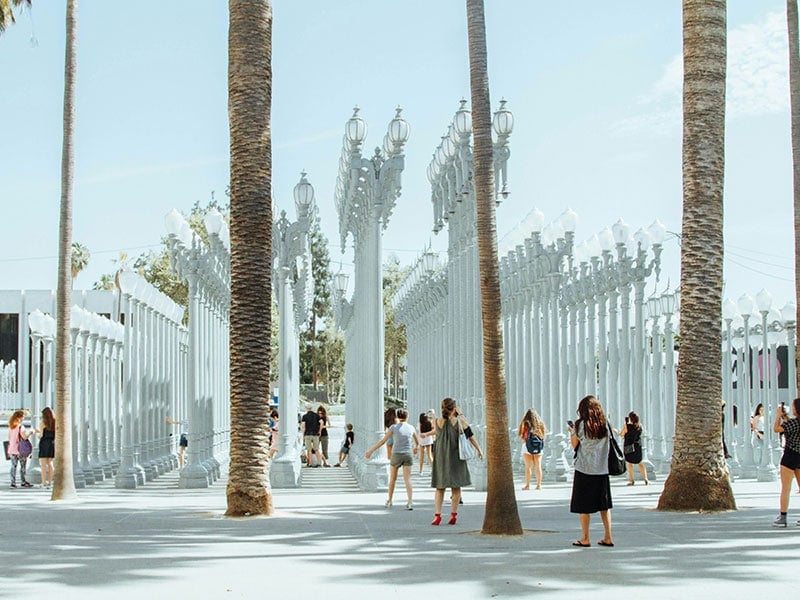 Los Angeles 7 Day Itinerary - LACMA