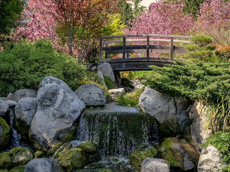 San Diego 2 Day Itinerary - Japanese Friendship Garden and Museum