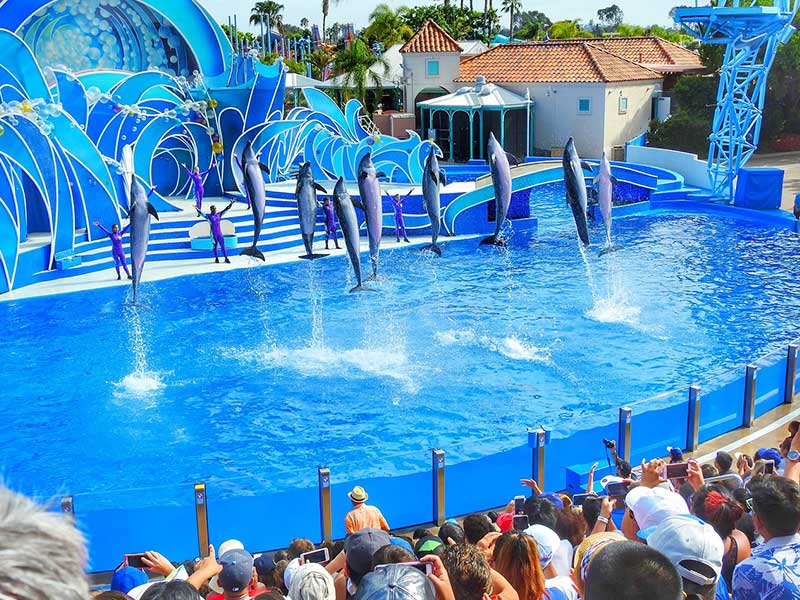 San Diego 2 Day Itinerary - SeaWorld