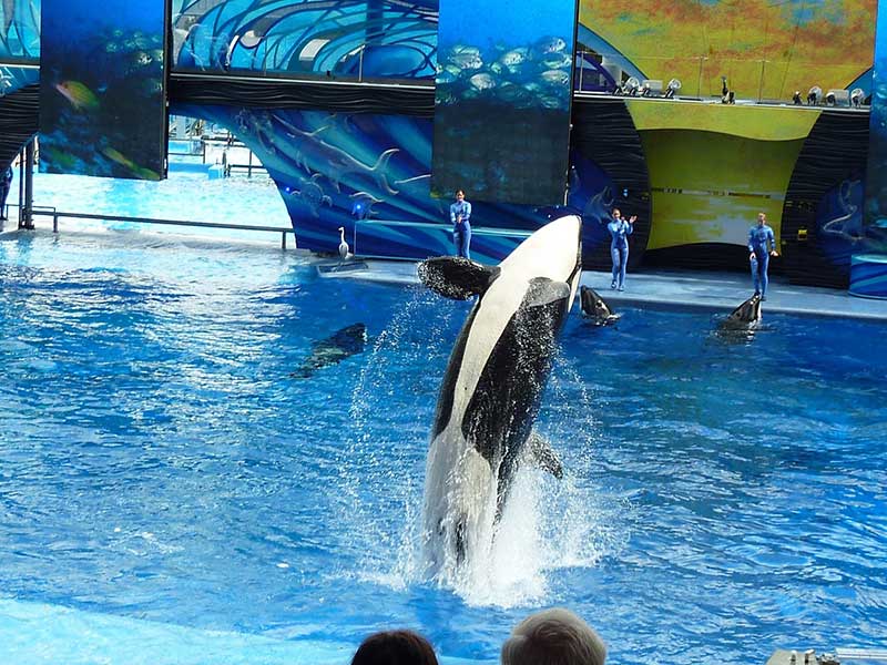 San Diego Itinerary 5 Days - SeaWorld
