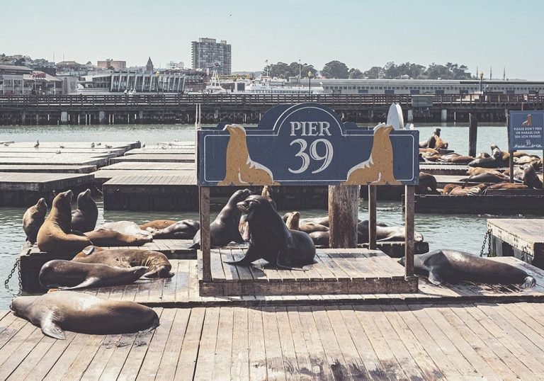 Explore with this Exciting San Francisco 4 Day Itinerary